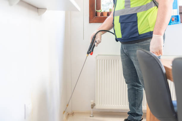 Flea Control Services in Clayton, DE