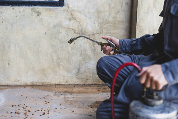 Pest Prevention Services in Clayton, DE